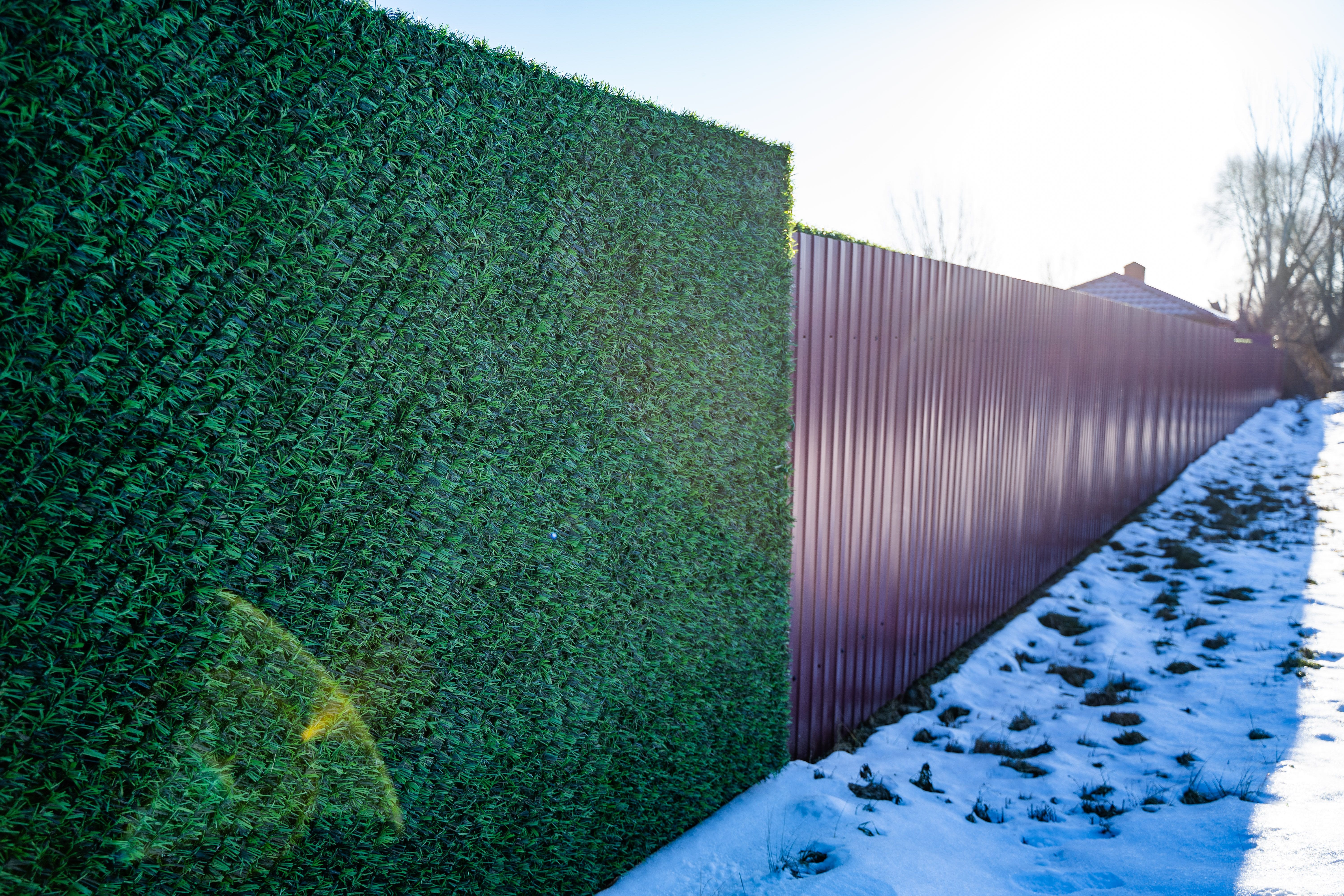 Вечнозеленый забор Grass Fence рулон 2м фото 11 в Сланцах