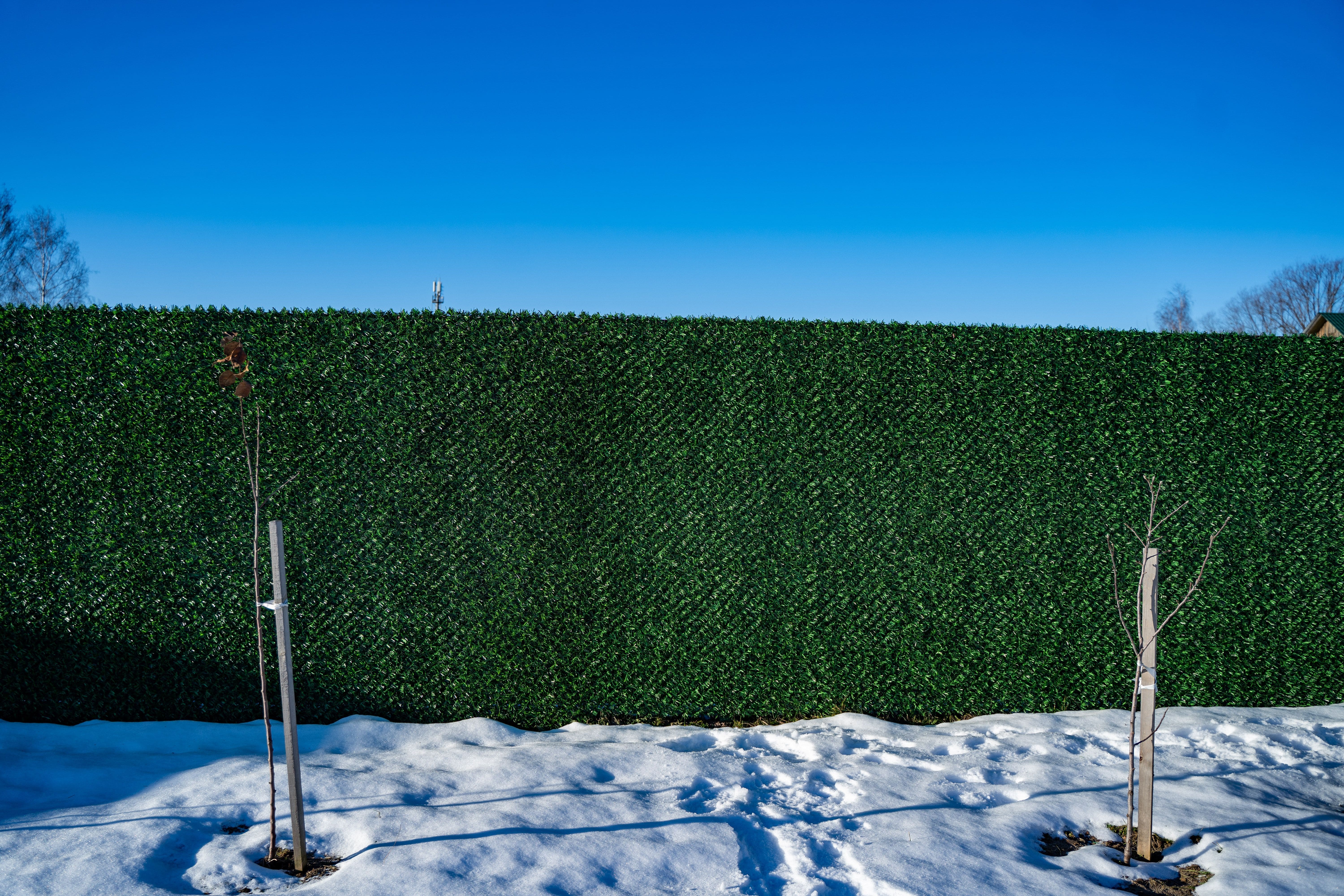 Вечнозеленый забор Grass Fence рулон 2м фото 8 в Сланцах